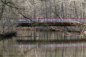 Foto: Franziska Reif Foto: Franziska Reif