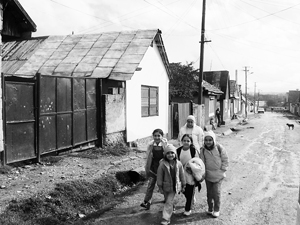 Foto: Andreas Haller